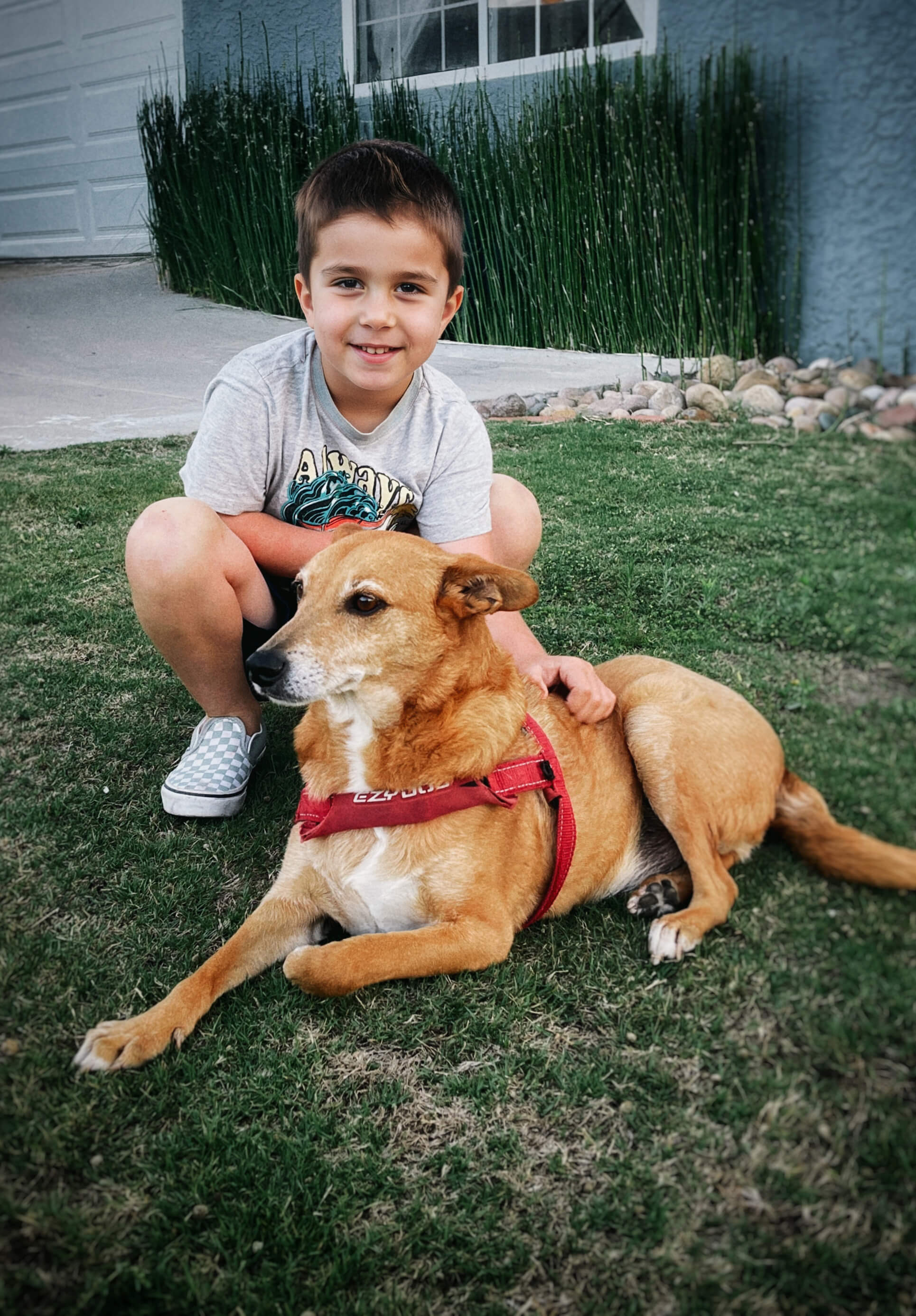 A young boy with Herb